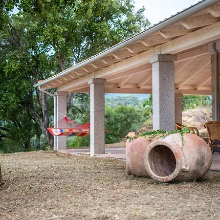 S'olioni Villa *