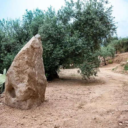 S'olioni فيلة